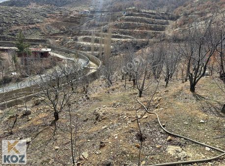 Koz Emlak'tan Kozluk Pınarbaşında Bakımlı Bahçe