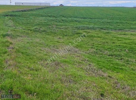 Saray Kurtdere Mahallesinde Tek Tapu 980 Metre Fiyat 690 Bin