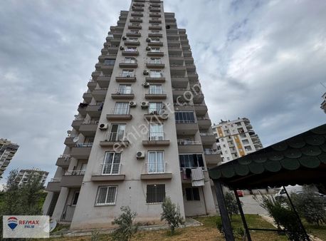 Remax Palm'den Çiftlikköy'de Full Eşyalı 1+1 Fırsat Daire!
