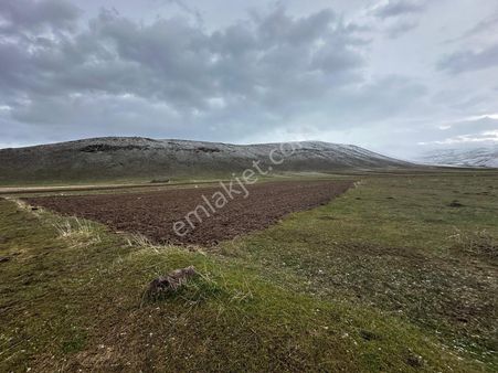 Ağrı Patnos'ta Satılık Tarla