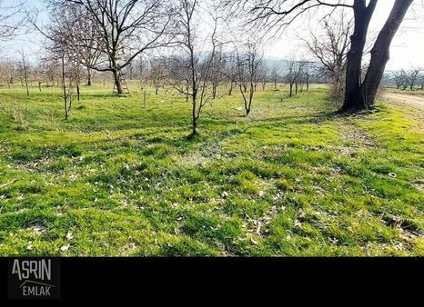 Asrın Emlak'tan Alibeyköy'de 1000 M² Resmi Yola Cephe Tarla