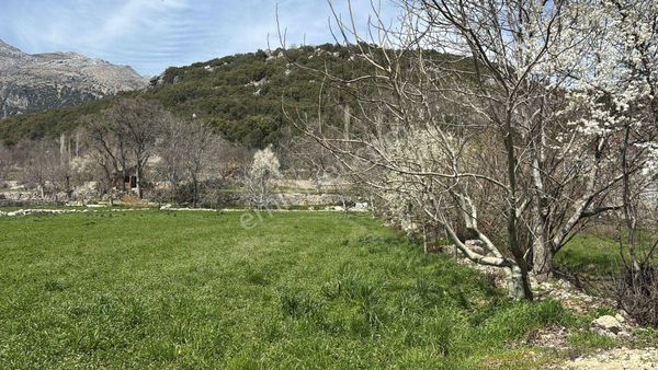 Suyun Cenneti Yeşilbaşköyde Satılık Muhtelif Arsa