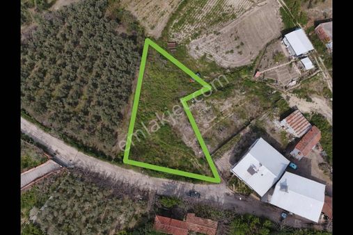 Expert'ten Mudanya Yaylacık'ta Ev Yapımına Uygun 1 Dönüm Tarla