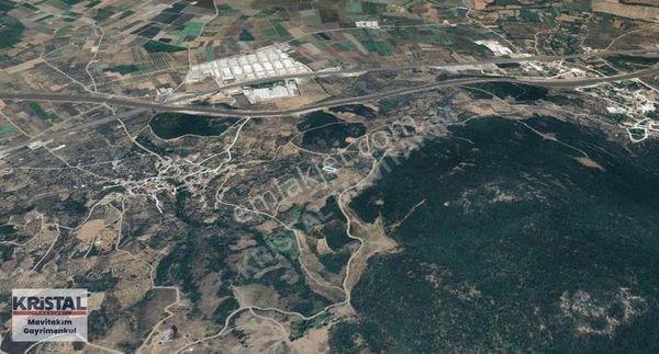 Bursa Orhangazi Çeltikçi'de Satılık 1.048 M² Zeytinlik