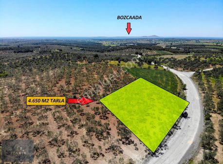 Çanakkale Ezine Üvecikte Satılık Asfalt Cephe Bakımlı Zeytinlik