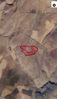 Niğde Altunhisar Akçaören Köyünde Ges Uygun Satılık Tarla