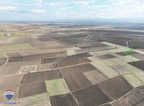 Çanakkale Biga Örtülücede Satılık Tarla Ada193 Parsel620 1645m²