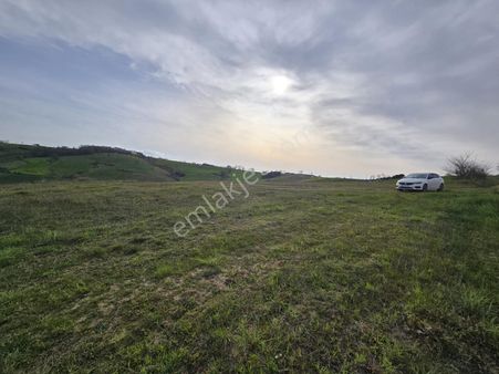 Remax/true Kocaeli Kaynarca Mevkiinde 5.473m2 Satılık Fırsat