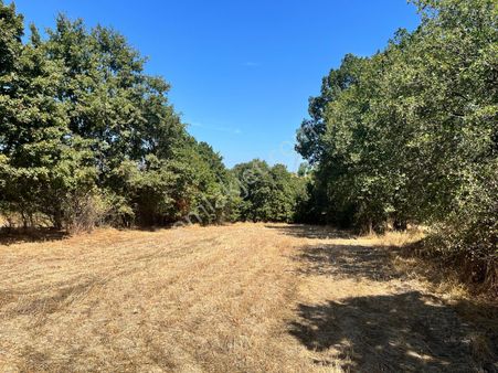 Gönen Turplu'da Satılık 1.102 M² Tarla Denizkent Plajına 10 Dk