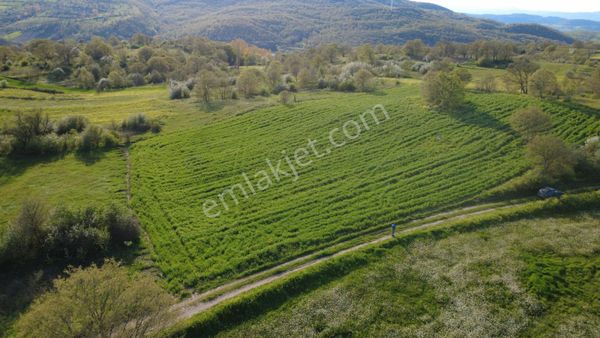 Balıkesir Karesi Armutalan'da Satılık Tarla