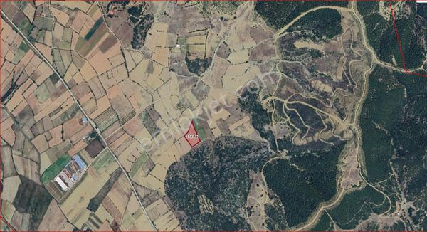 Ağlasun Hamam Mahallesinde Satılık Fırsat Arazi
