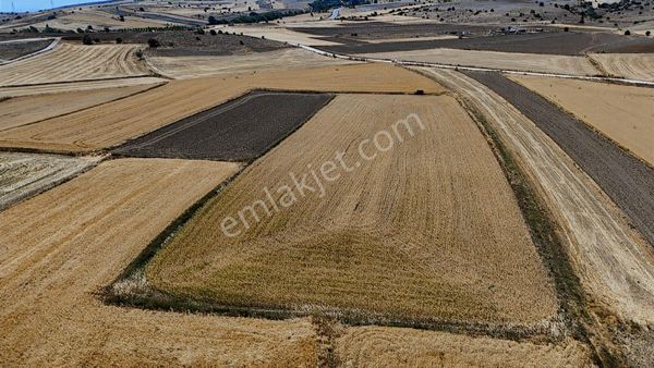 Mustafa Yılmaz'dan Tepebaşı Eğriöz'de 8.099 M² Müstakil Tarla