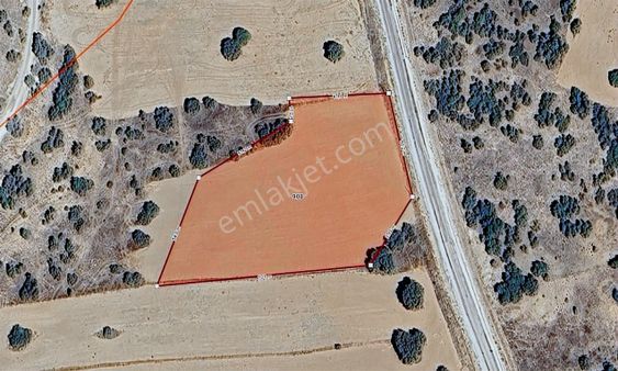 Mustafa Yılmaz'dan Musaözü Mh.'de 7.246,70 M² Satılık Tarla