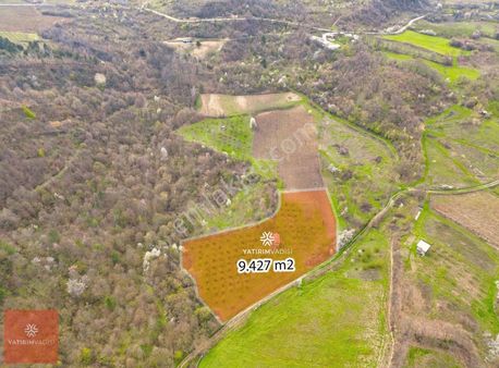 İnegöl Hacıkara 9.427 M2 Fındık Bahçesi Satılık Fırsat Arazi