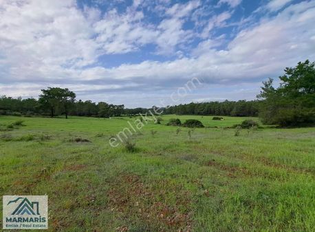 Bördübet'te Doğa İçinde 2000 M² Kiralık Arsa Denize 2 Km