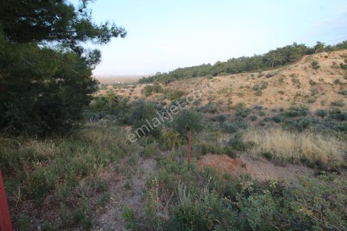 Arga'dan K.paşa Ören 75.yıl Cumhuriyet Mh. 1888m2 Satılık Tarla