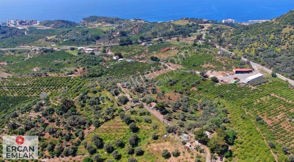 Özdere'de Satılık 1900 M² Tek Tapu Bahçe
