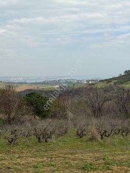 📍 Topağaç’ta 400 M² Altyapılı, Yolu Açık, Değer Kazanan Satılık Arsa!
