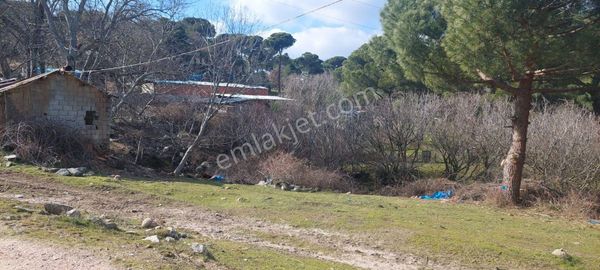 Bergama Kozak Merkeze Yakın Kaçırılmayacak İmarlı Satılık Bahçe