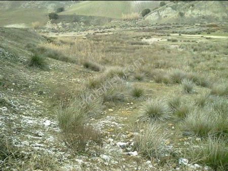 Manisa Kula Ana Yola Yakın 14.211 M2 Yatırımlık Satılık Tarla