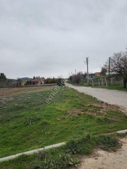 Ormanın İçinde 3 Dönüm Tektapu