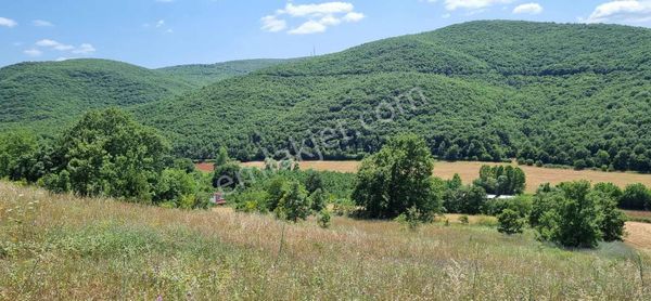 Profasor *dan Erdoğanköy De Satılık 2038m2 Tarla