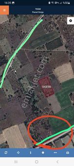 Senirkent 16 Haziranda Tarla