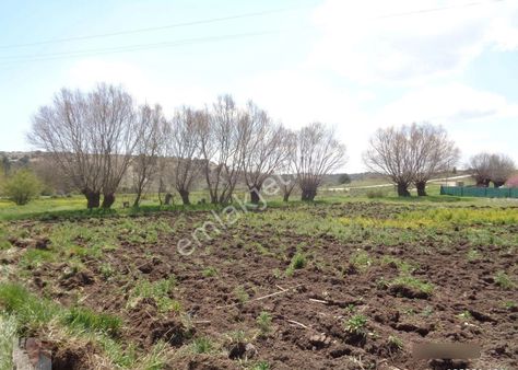 Takmak Mahallesi Kütahya Yoluna Yakın Yatırımlık Tarla