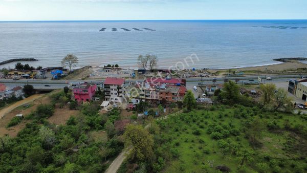 Trabzon Arsin'de Satılık 5 Kat İmarlı Arsa