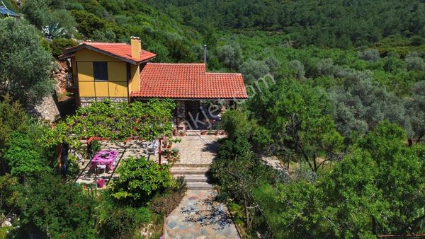 Datça Zeytincik'te Satılık 1200m² Doğa İçinde Özgün 3+1 Taş Ev