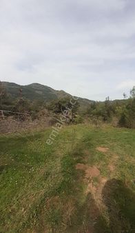 Soma Pirahmet Köyü'nde 2.576 M²