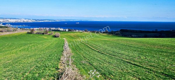 Tekirdağ Topağaç Mahallesinde Full Deniz Doğa Ve Şehir Manzara 75 Adet Villa Projeye Uygun Arazi