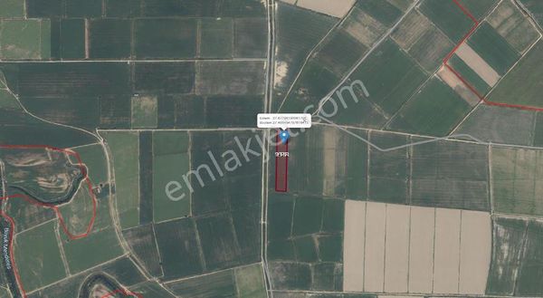 Söke Akçakaya'da 18.625 M2 Yola Cepheli Satılık Tarla