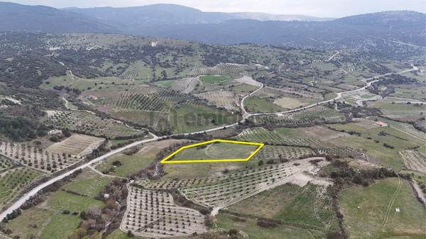 Akhisar Arabacıbozköyde 7.350 M² Tek Tapu Yatırımlık Tarla