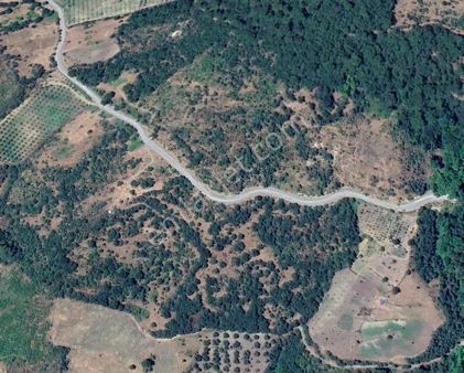 Balıkesir Havran Çamlıçeşme Mevkiin' De Satılık 33,543 M² Tarla
