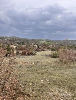 Banaz Ahat Köyünde 12480m2 Yola Sıfır Tarla
