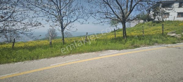 İmarlı Bölgenin En Güzeli En Manzaralısı Geldi