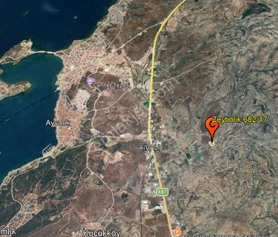 C21 Bal'dan Balıkesir Ayvalık’ Da Tamamı Satılık Zeytinlik