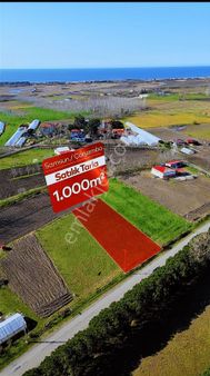 İlyas Nas'tan Denize 900 Metre 1000 M2 Satılık Tarla