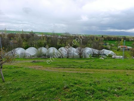 Çorum Merkez Altınbaş Köyünde 8 Adet Satılık Hazır Kurulu Sera