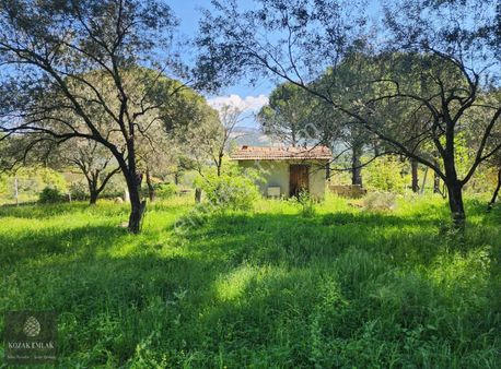 Bergama Kozak Okçular Bahçe Satılık