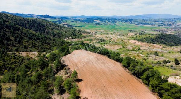Bilecik Söğüt Küre'de Manzaralı 2.582 M² Satılık Tarla
