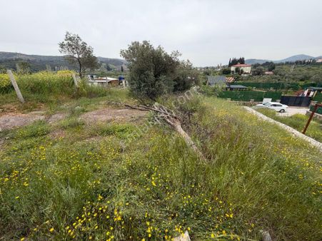 Seferihisar Doğanbey Kavakdere De Satılık 300 M2 Kupon Arsa