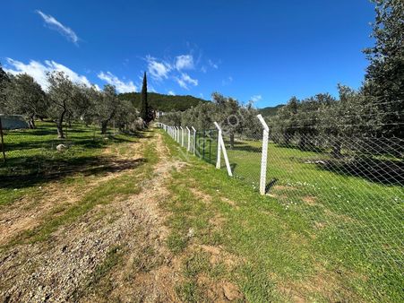 Mera Emlak Beyoba Köyü Deniz Manz 27 Villa Veya 54 Dairelik Arsa