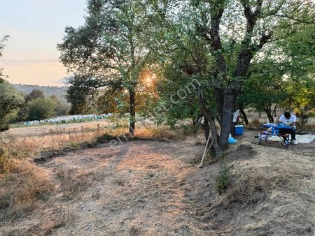 Profasor Dan Satılık Orhaneli Semerci Köyünde 245 M2 Tek Tapu