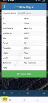 Aydın Ndidim Akyeniköy'de