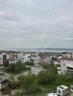 Ful Deniz Ve Doğa Manzaralı