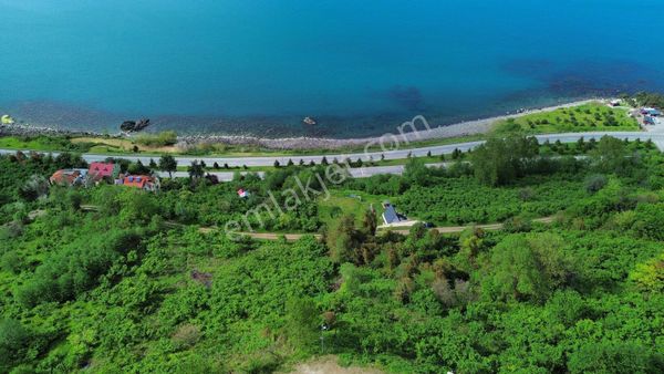 Trabzon Beşikdüzünde Satılık Deniz Manzaralı Arazi