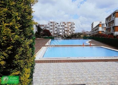 Pendik Yenişehir Dumankaya Konsept Kurtköy Kiralık 1+1 Daire