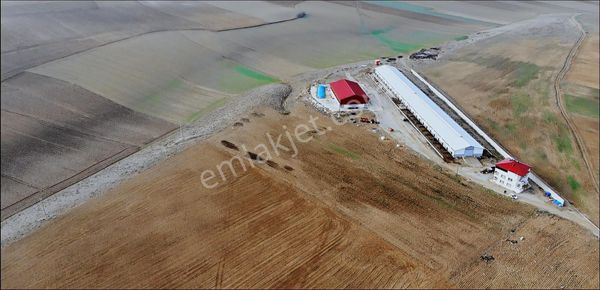 Kahramanmaraş Elbistan Söğütlü'de 14.030 M2 Satılık Arazi